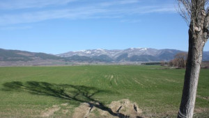 ЕС наложи на Румъния да продава свободно земеделски земи от началото на 2014