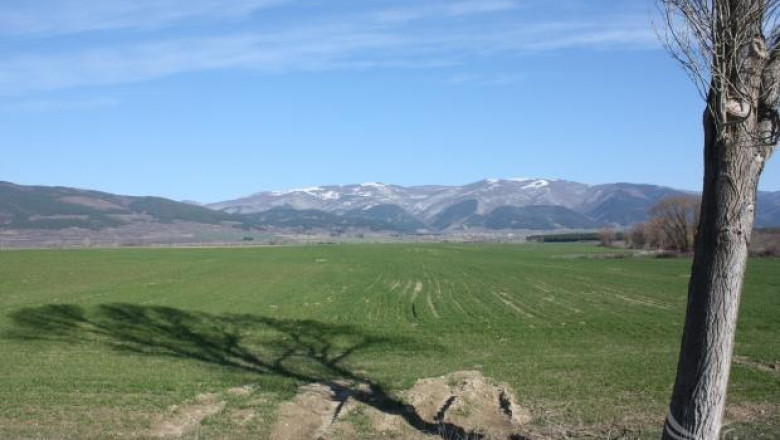 ЕС наложи на Румъния да продава свободно земеделски земи от началото на 2014