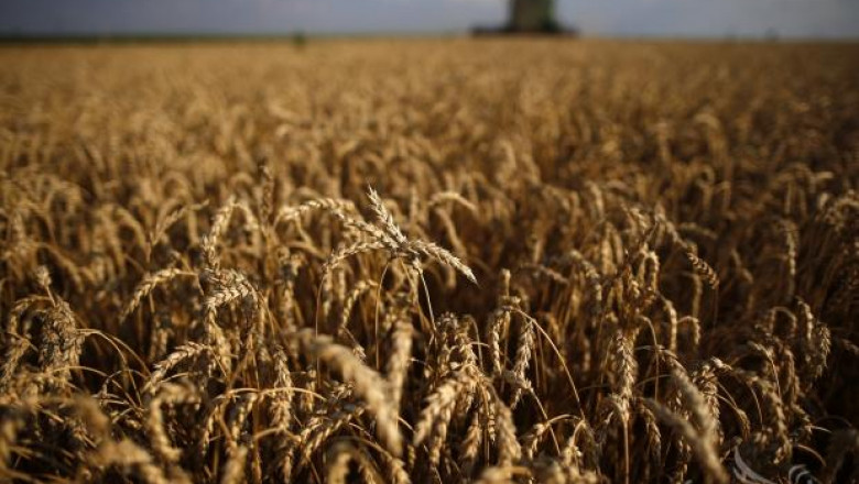 Украйна, Русия и Казахстан създават съвместен Съюз по зърното