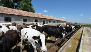 Министър Димитър Греков ще посети животновъдни ферми във Варна и Добрич - Agri.bg