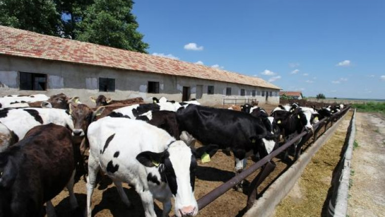 Министър Димитър Греков ще посети животновъдни ферми във Варна и Добрич