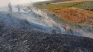 1,5 т. тютюн, теле и 200 бали слама изгоряха в Шуменско - Agri.bg