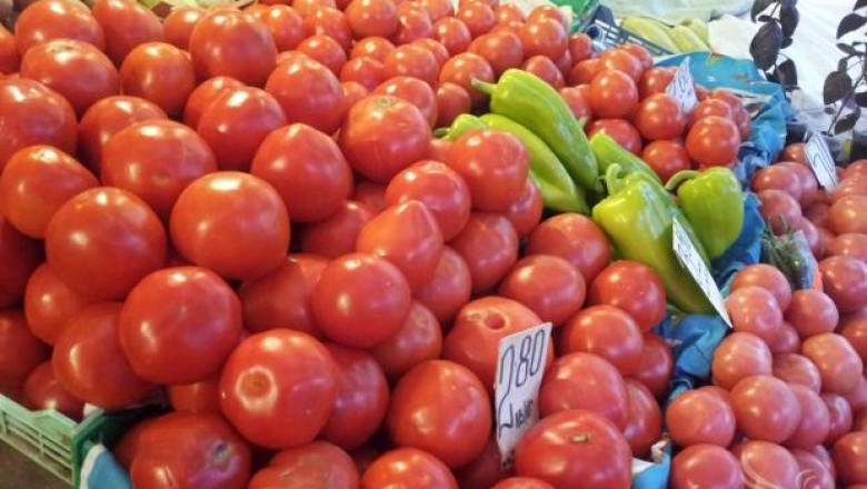 24 хектара са декларирани в Плевенско за помощ срещу доматения молец