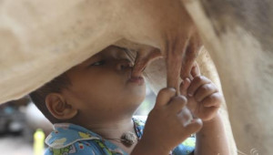 Филмът „Вкусът на разхищението” отбелязва Световният ден на прехраната - Agri.bg