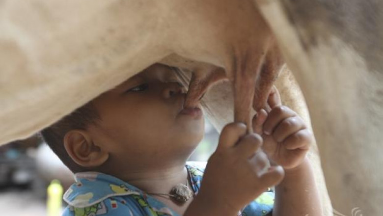 Филмът „Вкусът на разхищението” отбелязва Световният ден на прехраната