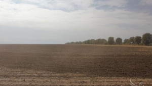 Орешарски: Удължаването на мораториума за продажба на земя не е реалистично - Agri.bg