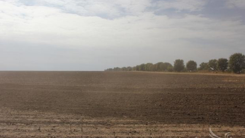 Орешарски: Удължаването на мораториума за продажба на земя не е реалистично