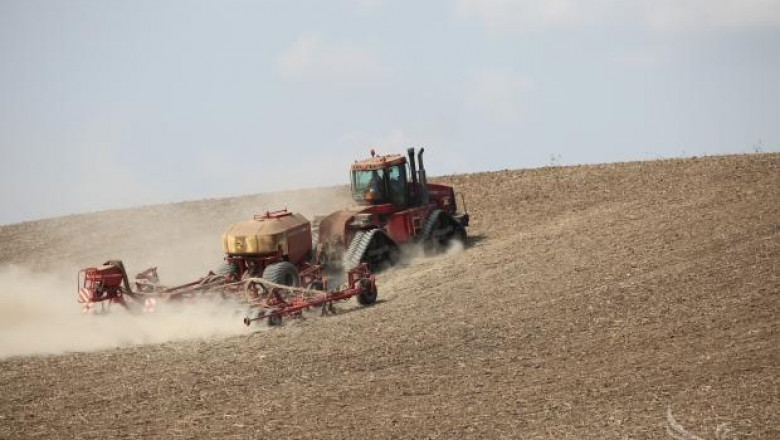 Площите със зърно в ЕС леко ще намалеят през стопанската 2013/2014, според анализатори