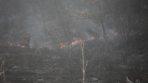 Фермер подпали нива на метри от къщите в хасковско село - Agri.bg