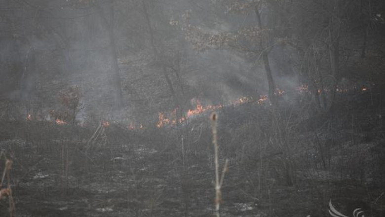 Фермер подпали нива на метри от къщите в хасковско село