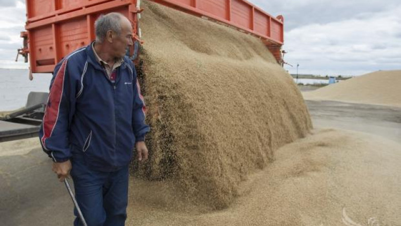 Силното експортно търсене повиши плавно цената на зърното в Европа