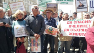 Пчелари призовават колеги на мълчалив протест в подкрепа на сектора - Agri.bg