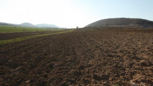 Фермери дискутираха проблемите на черноземите в България - Agri.bg