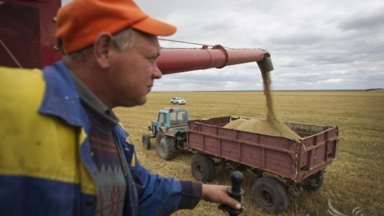 Цената на пшеницата в Европа обърна положителния си тренд