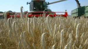 Субсидиите за земеделие ще се изплатят до 31 януари 2014 г., решиха управляващи и НАЗ - Agri.bg
