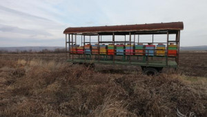 Калин Лозанов, пчелар: Разчитах мярка 141 да тръгне тази година, за да се развивам - Agri.bg