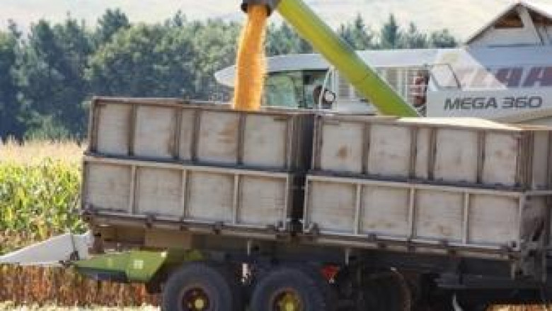 608 кг/дка царевица жънат земеделците в област Силистра