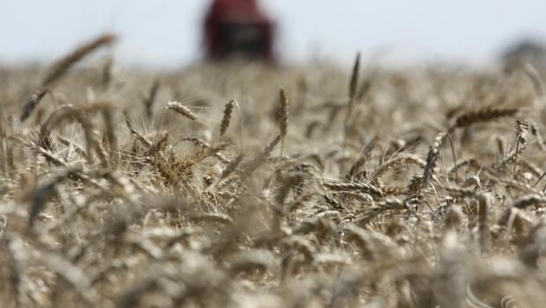 АЗПБ: Дерогацията на ДДС при зърното ще ощети фермери и доставчици