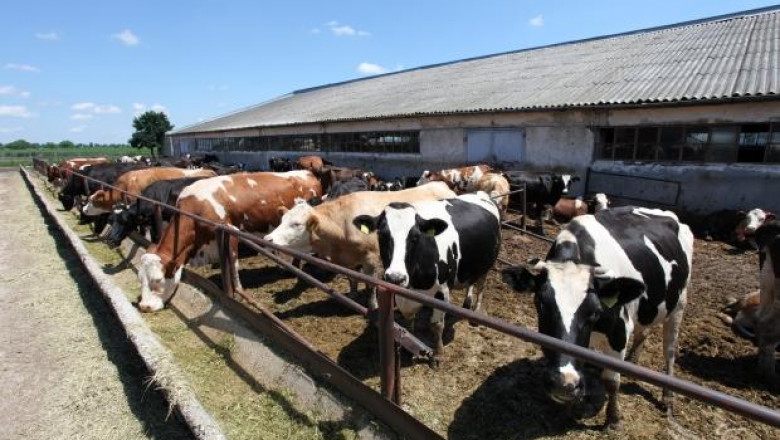 МЗХ даде нова отсрочка за кредитите на животновъдите