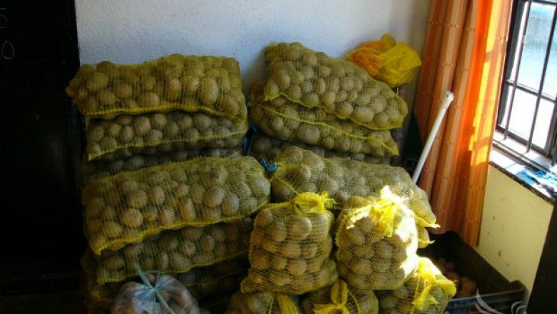 509 кг/дка е средният добив от картофи във Видинска област