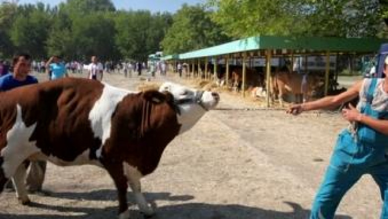 Национално животновъдно изложение се открива днес в Сливен 