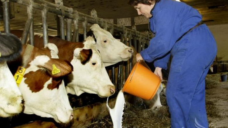 ЕК отпуска още две години за преструктуриране на млечните ферми (ВИДЕО)