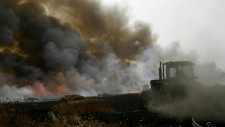 Лозя и овощни дръвчета изгоряха в пожар в Димитровградско