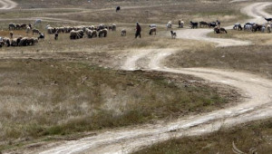  Глобиха с 1 000 лв. земеделец, дал неверни сведения заради европари - Agri.bg