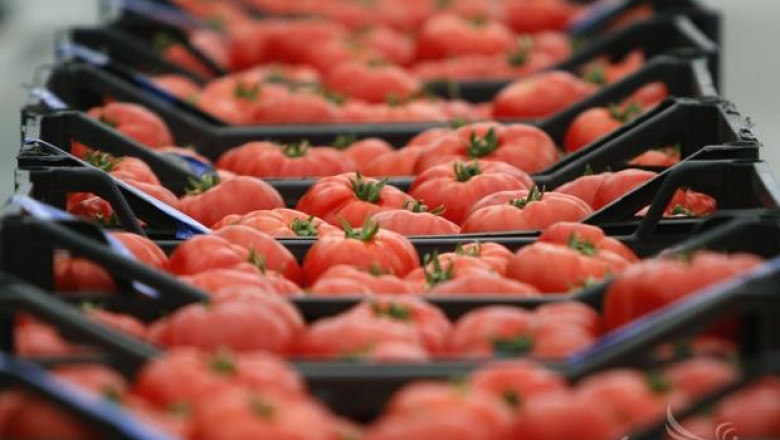 ДФЗ изплати средствата по De minimis на зеленчукопроизводителите
