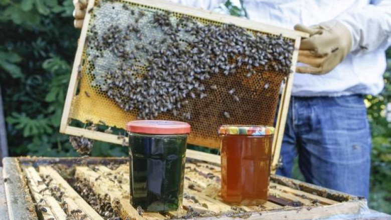 Регистрираха нови случаи на мистериозно оцветяване на пчелен мед