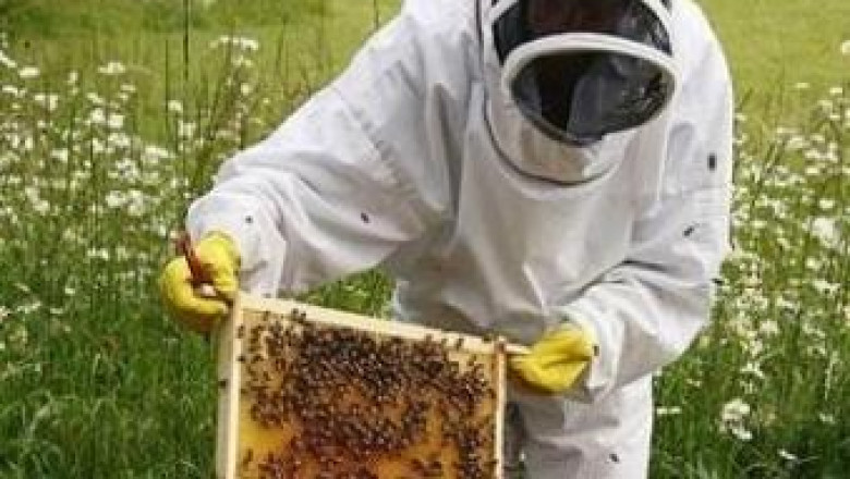 Предстоят промени в Закона за пчеларството
