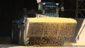 Рекордни количества царевица се очаква да изнесат Русия и Украйна - Agri.bg