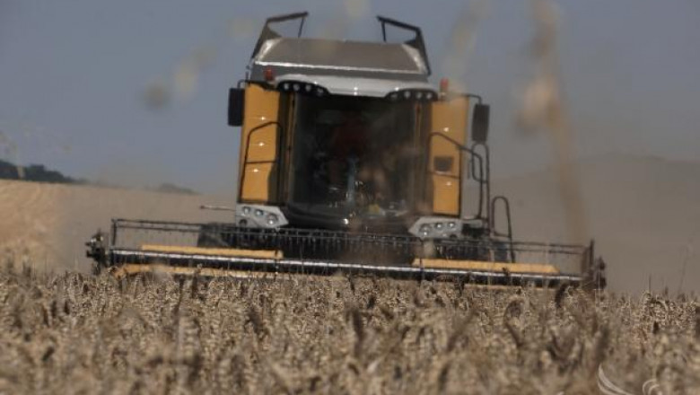 Великобритания очаква най-слабата реколта от пшеница за 10 години
