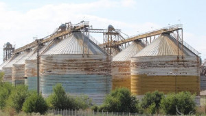 НАП – Монтана проверява зърнобази в региона - Agri.bg
