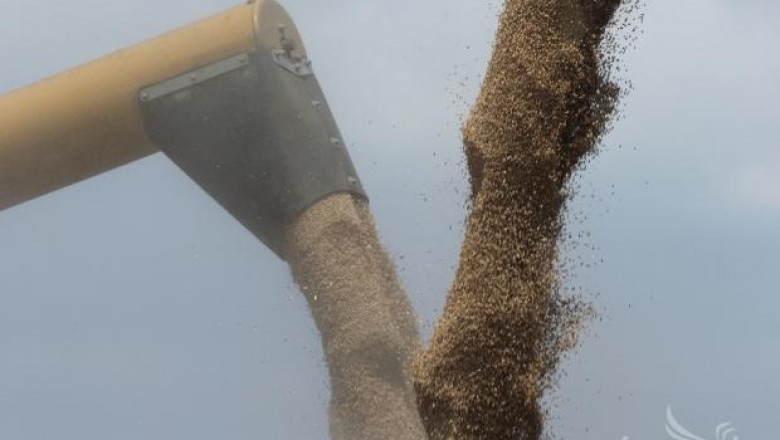 ФАО отново завиши прогнозите си за зърнена реколта 2013/2014