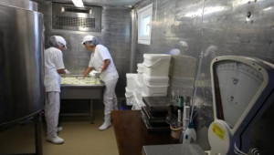 Още два дни остават за прием на заявления за износ на сирене в САЩ - Agri.bg