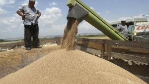 България отчита повишен внос на брашно и пшеница от Румъния през 2012/13 г. - Agri.bg