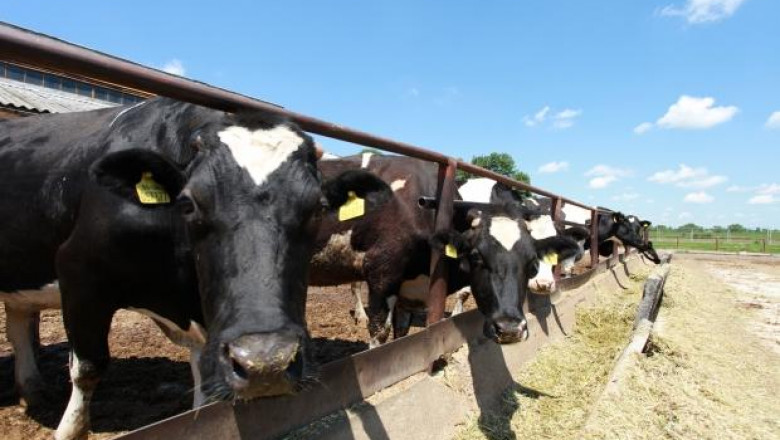 Семинар за млечното говедовъдство ще се проведе в Сливен