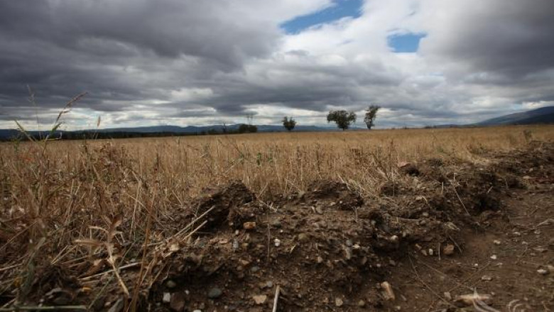 Спад в продажбите на неземеделска земя отчита анализ на МЗХ