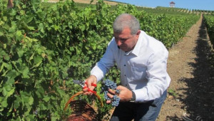 Министър Греков заминава за Китай, където ще промотира наше вино - Agri.bg