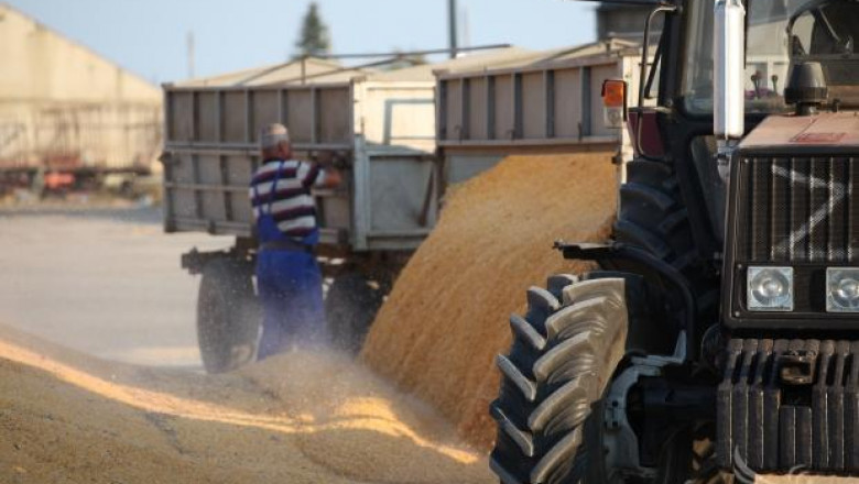 Понижава се прогнозата за реколтата от царевица в ЕС