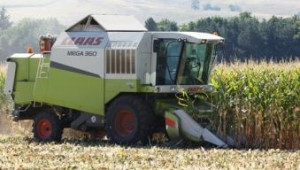 Суша в Европа носи надежди за цената на царевицата у нас - Agri.bg