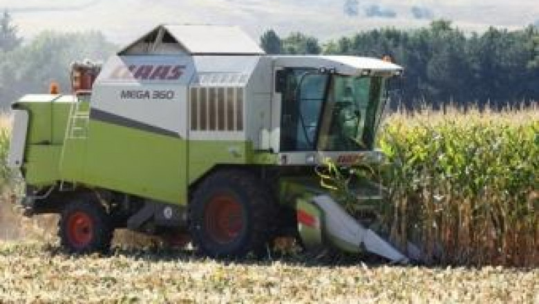 Суша в Европа носи надежди за цената на царевицата у нас