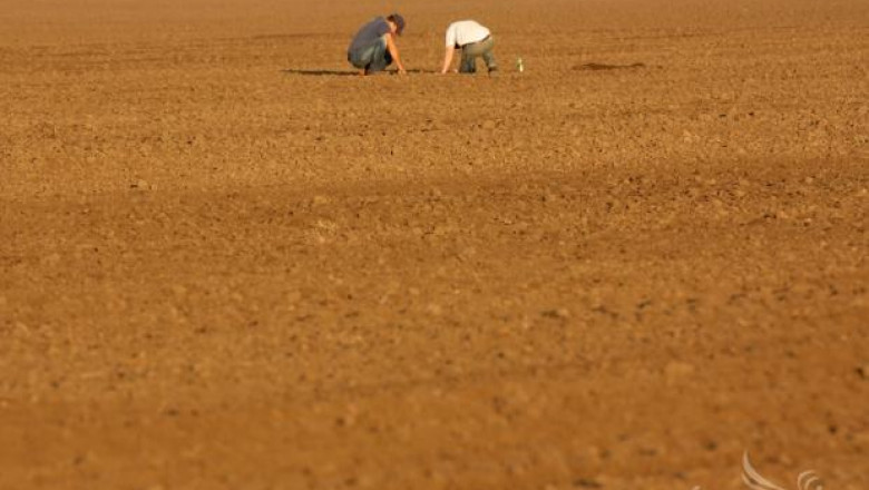 ДФЗ отпуска 10 млн. лв. за закупуване на торове и семена за пшеница, реколта 2014