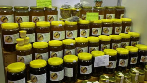 Субсидия на пчелно семейство искат пчелари от Ловешко - Agri.bg