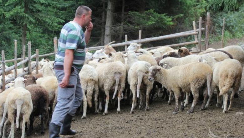 Асоциацията за развъждане на тънкорунна овца се събра в Шумен