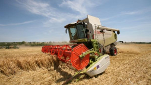Жътвата на пшеница в страната приключва  - Agri.bg
