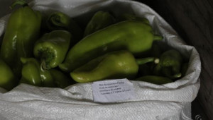 Повече желаещи по Схемата за плодове и зеленчуци, отчита БАБХ-Благоевград - Agri.bg
