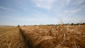 Земеделци ще сключват договори за аренда онлайн, предвижда проект - Agri.bg