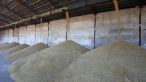 143 000 тона пшеница прибраха в Хасковско - Agri.bg